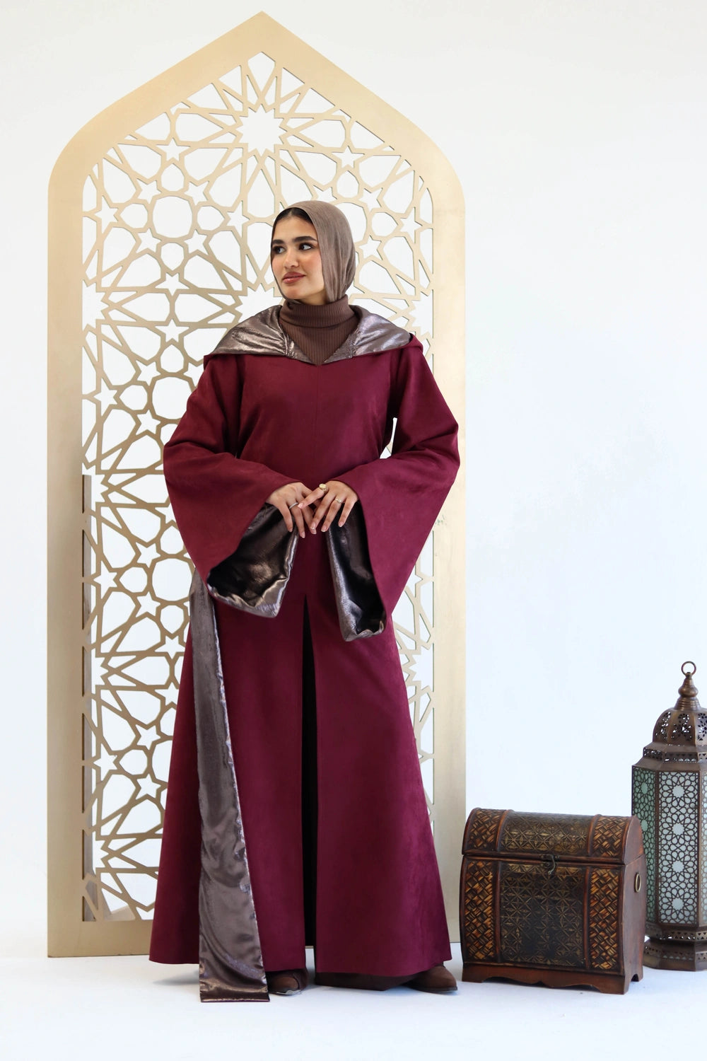 Elegant Hooded Dress