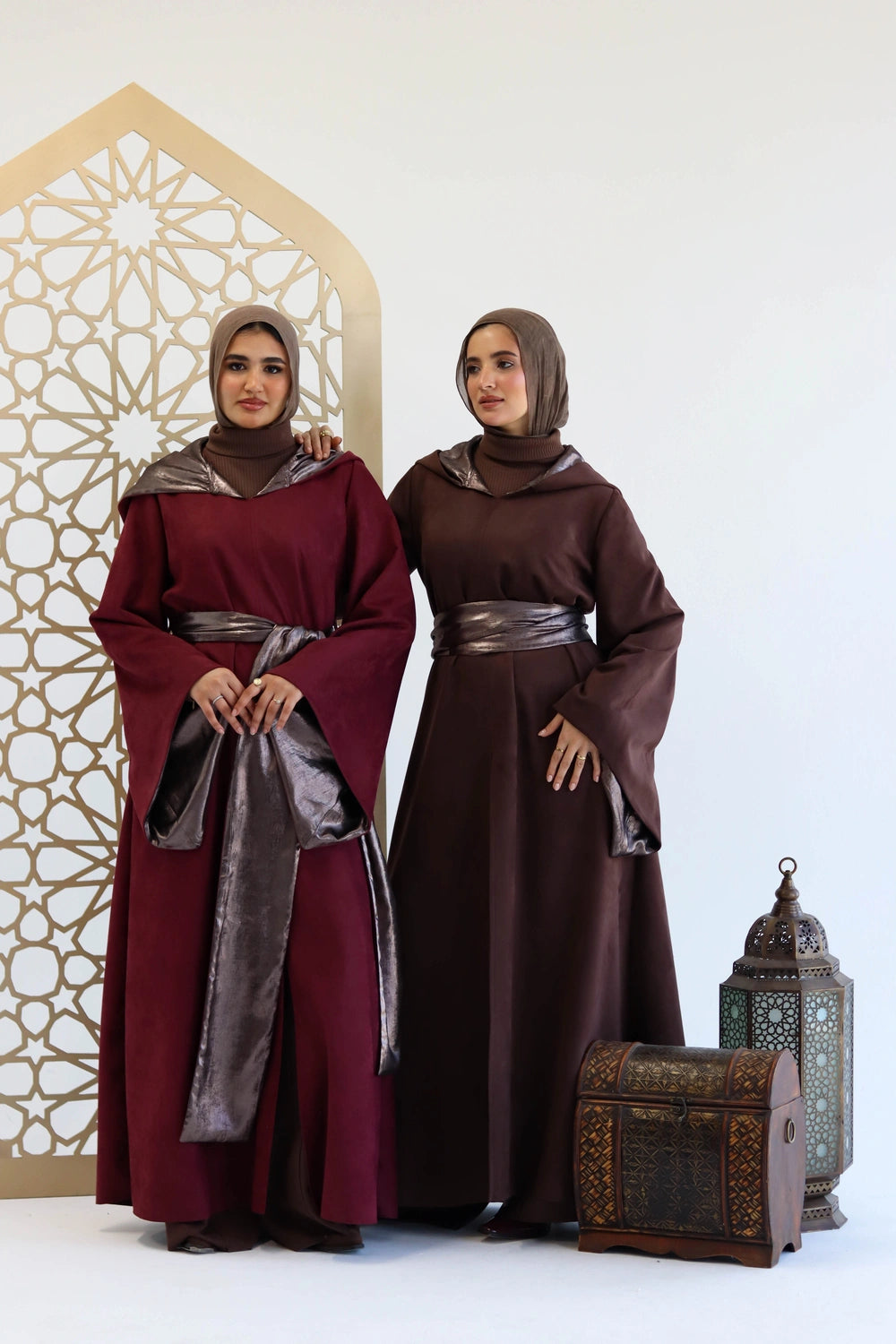 Elegant Hooded Dress