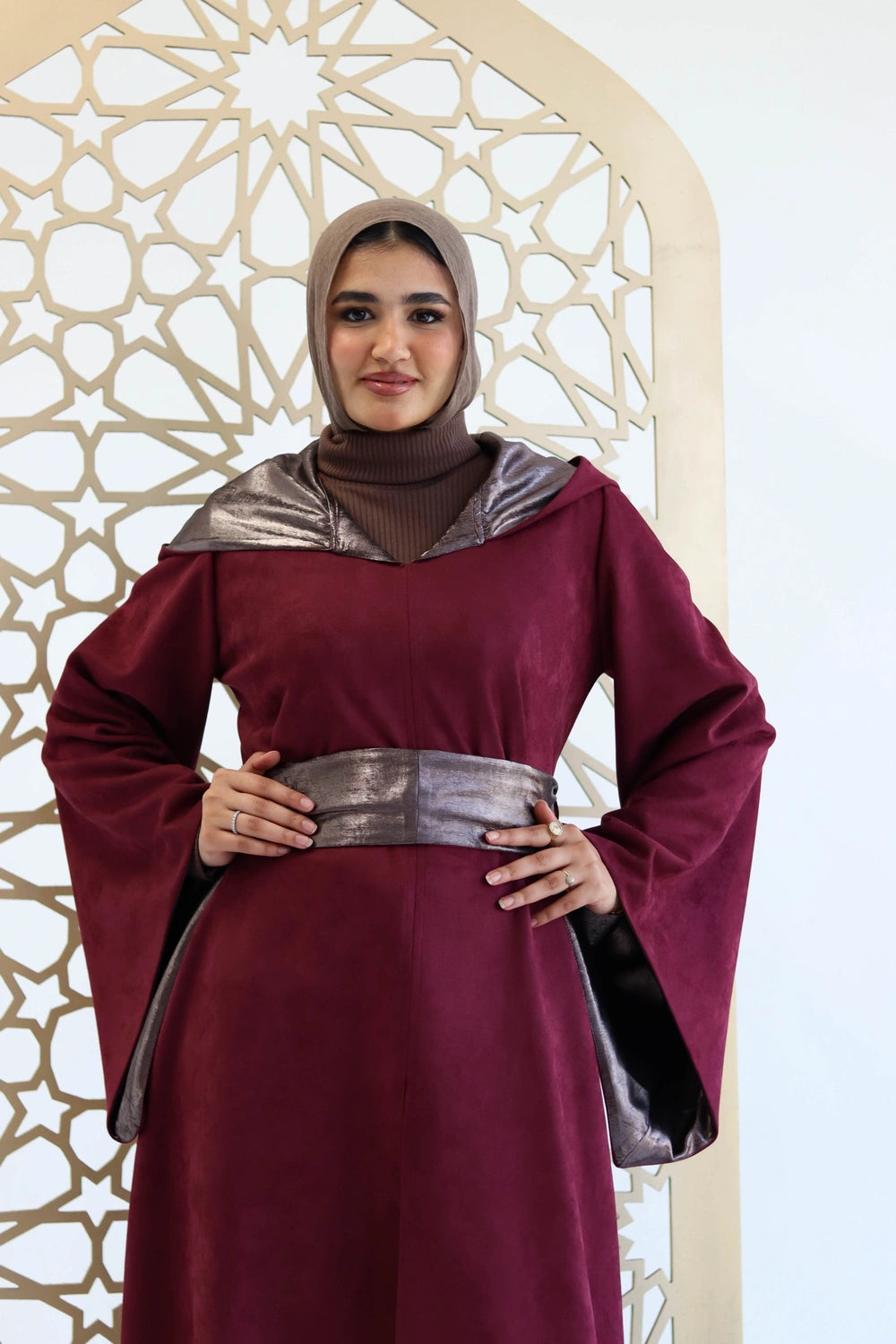 Elegant Hooded Dress