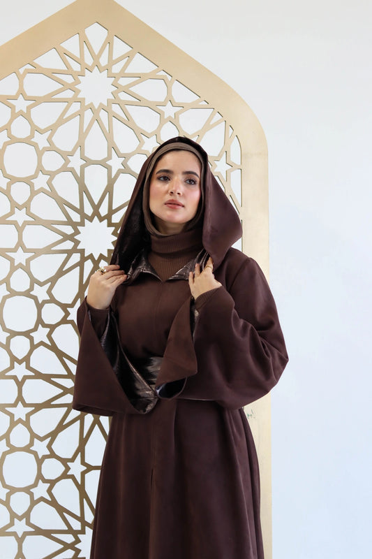 Elegant Hooded Dress