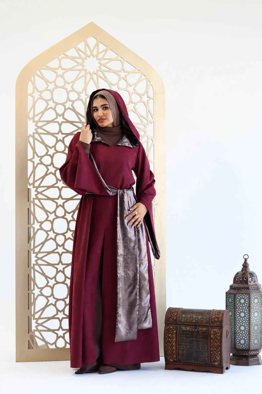 Elegant Hooded Dress