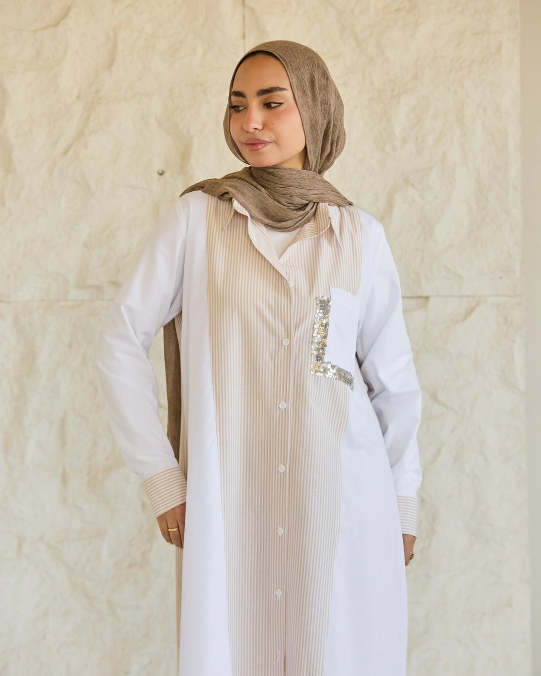 Plain & Striped Poplin Shirt Dress